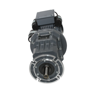 W95050200 Gearmotor til Baron tvangsblander- 2 kW : 1x240V (original reservedel)